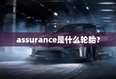 assurance是什么轮胎？
