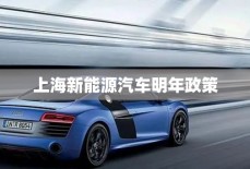 上海新能源汽车明年政策