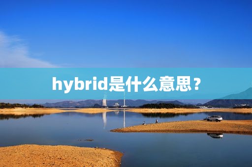 hybrid是什么意思？
