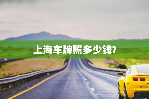 上海车牌照多少钱?